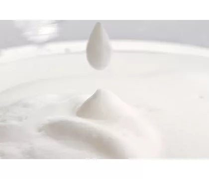 Philips Milk Twister Milk frother CA6500/63