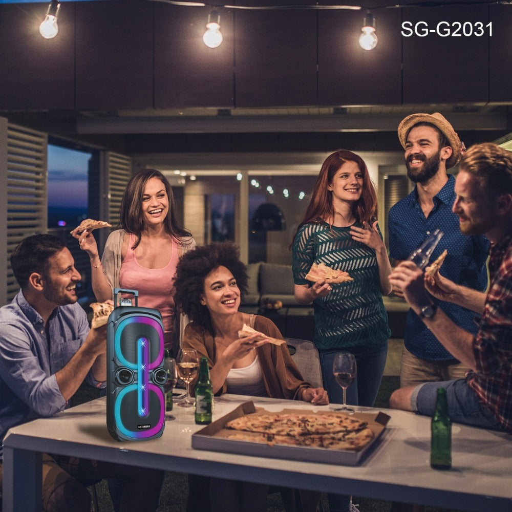 STARGOLD Multimedia Speaker 60W Remote Control Via BT, USB, SD/MMC, SG-G2031 BLACK